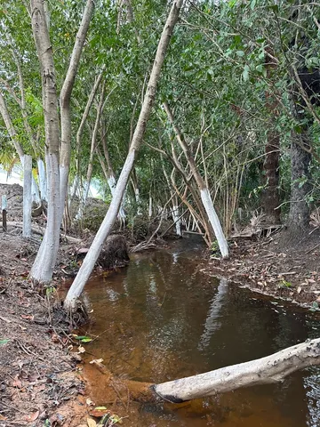 Vendo lote de Chacara na região do agua boa, 18km de BV - leia anúncio