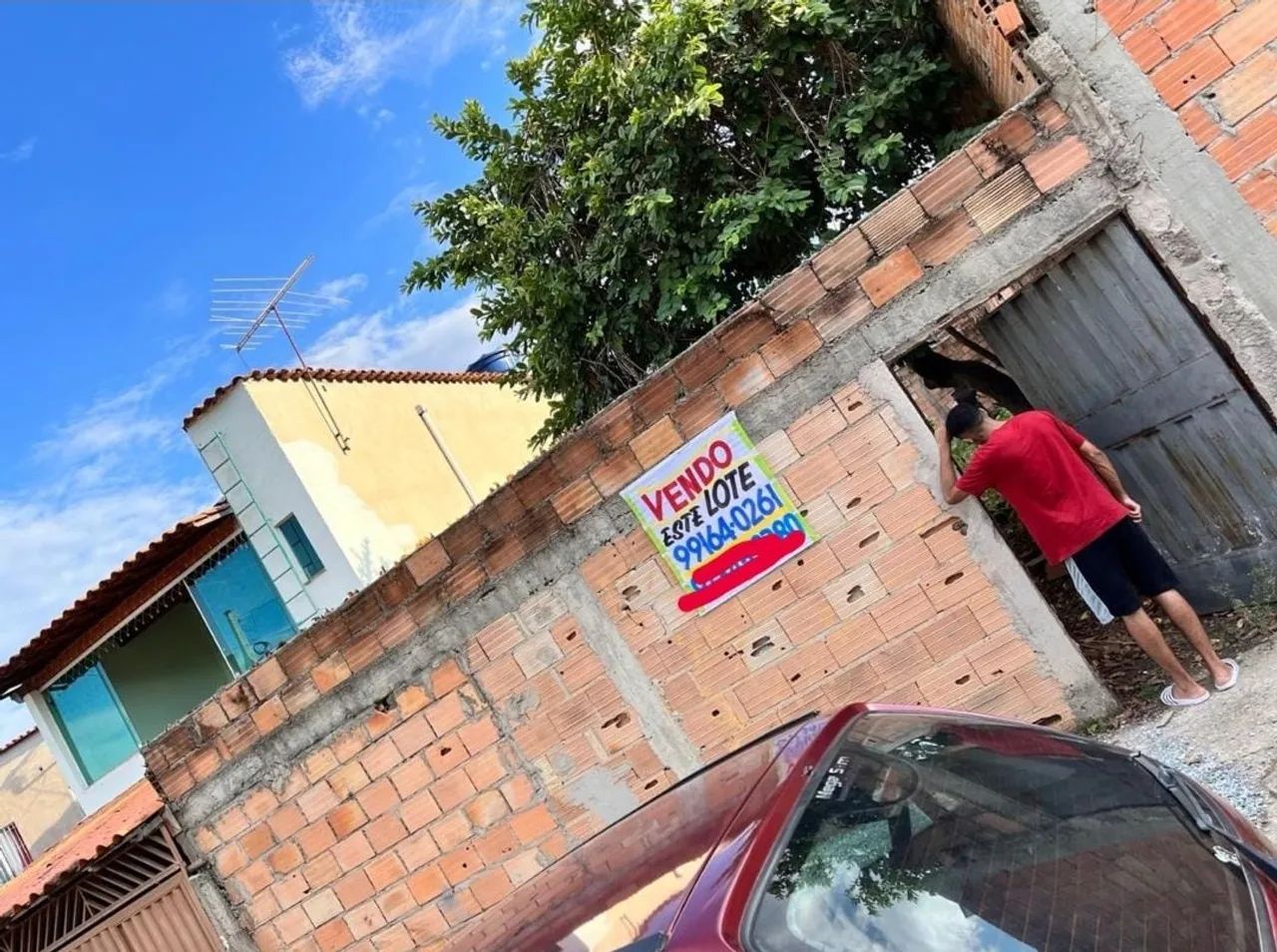 foto - Ribeirão das Neves - Girassol