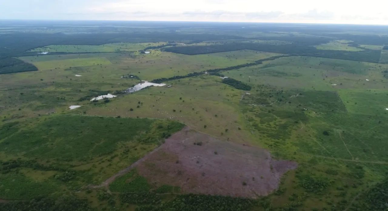 Fazenda 1.338.80 hectares Dupla Aptidão- Dueré TO - Foto 3