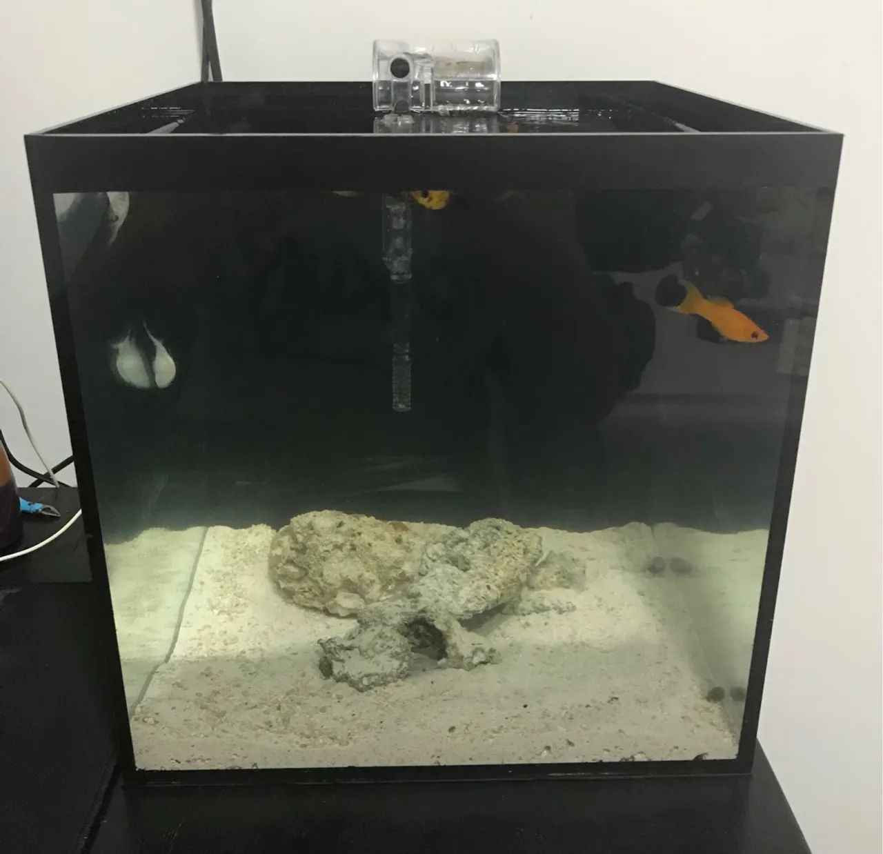Aquário Cubo 27 Litros - Foto 3