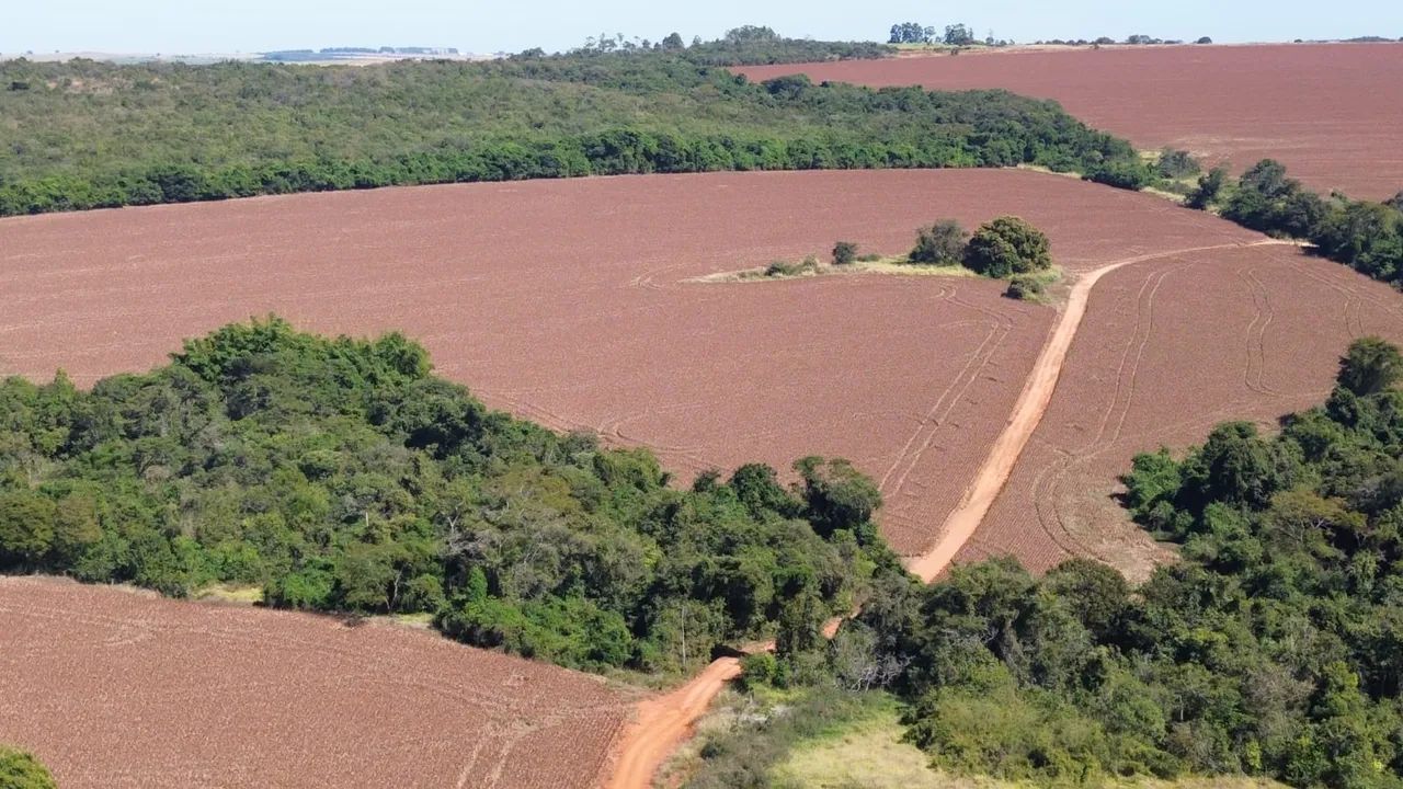 Fazenda 20 alqueires Gameleira-Go - Foto 3