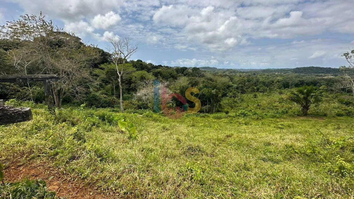 Vendo Fazenda em Ilhéus - Foto 4