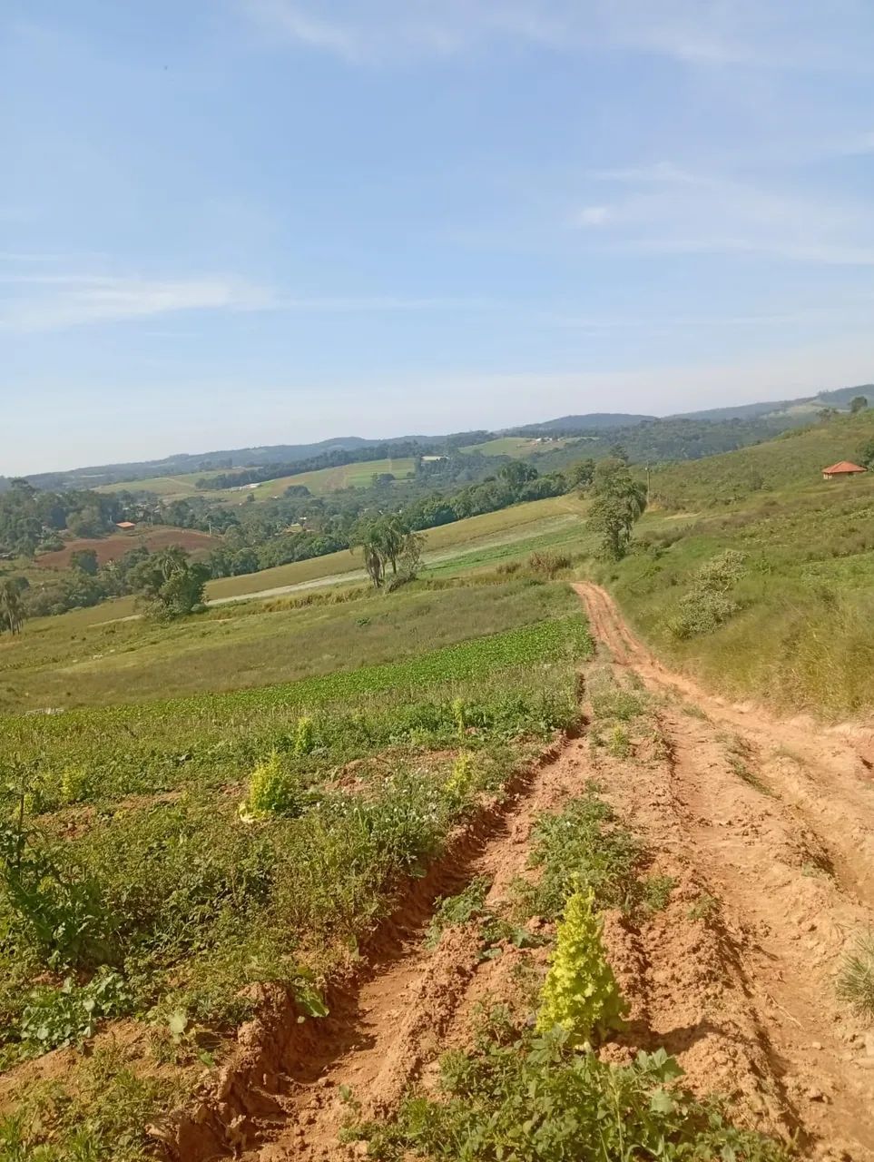 Terrenos com Preço Justo e Muito Potencial - Foto 2