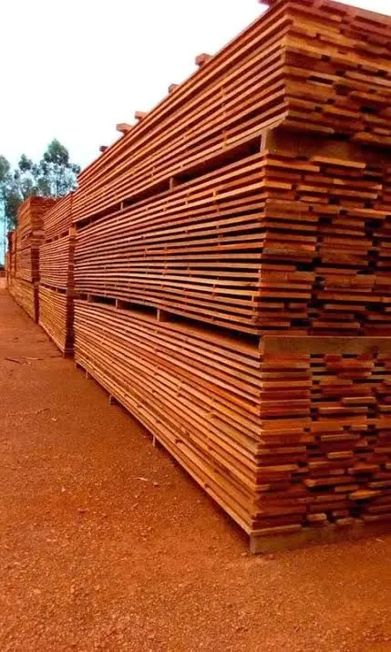Tábua de Caixaria de Samaúma de 4 Metros