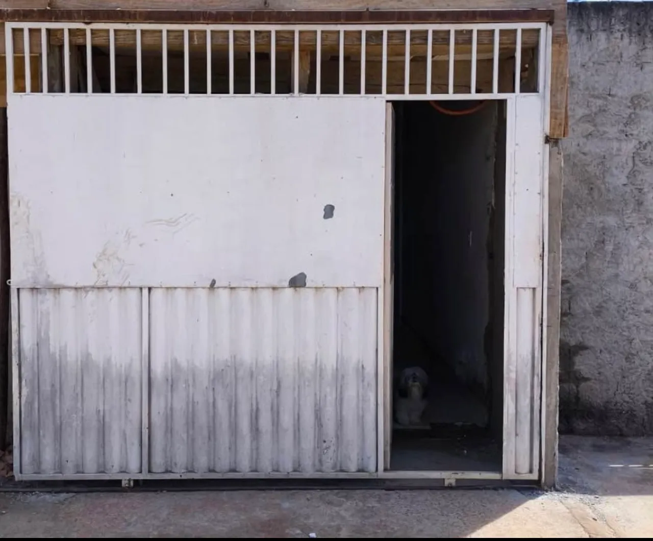 Vendo esse portão barato pra vir buscar valor 500 reais