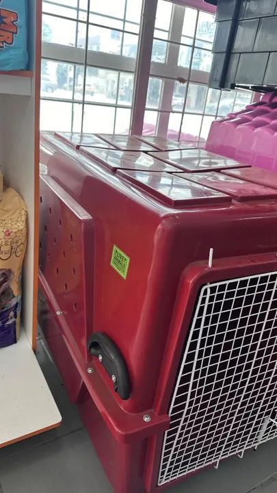 Casinha para transporte pet