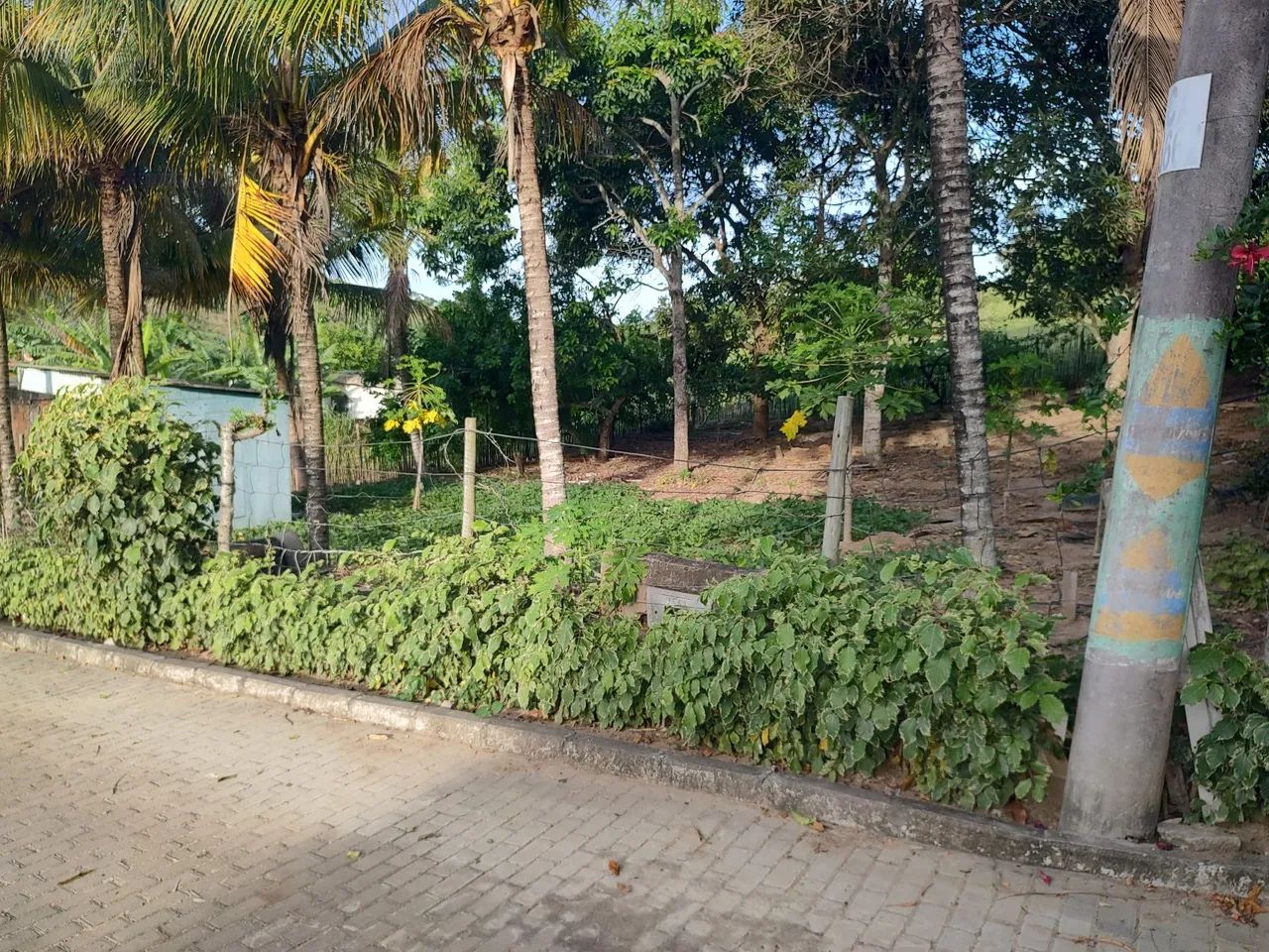 Terreno com Área Verde em Local Tranquilo