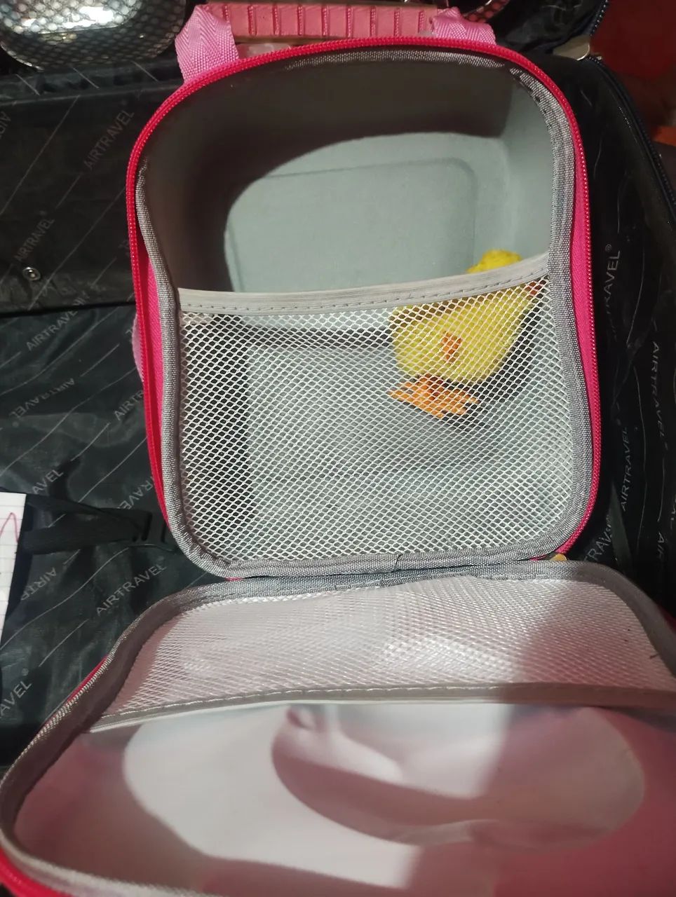 Mochila Infantil da Ladybug - Foto 2