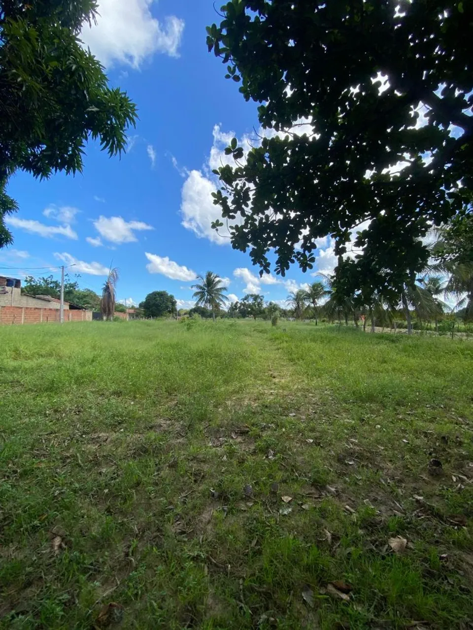 Vende-se um terreno de 1,5 hectares no Rio da prata, São Gonçalo do Amarante RN