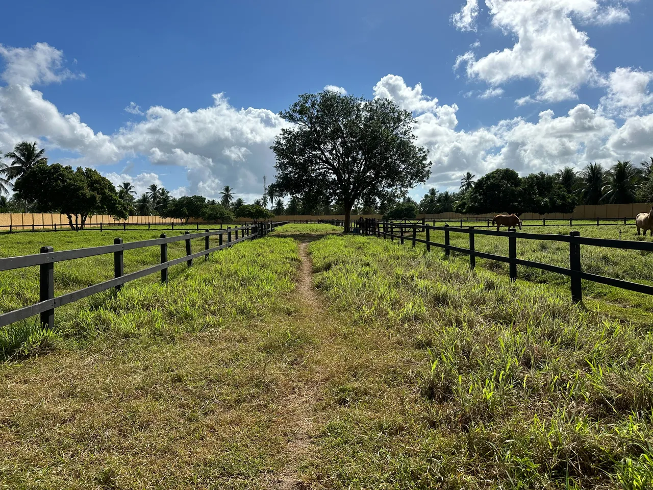 Fazenda/Sítio/Chácara para venda possui 1000 metros quadrados com 3 Q