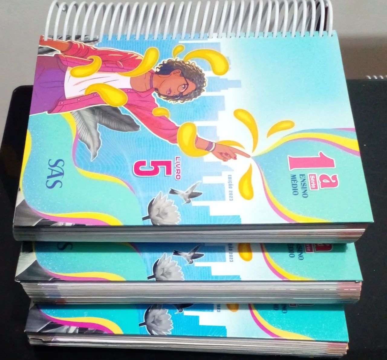 Livros Didáticos 1º Ano Ensino Médio - SAS - Foto 2