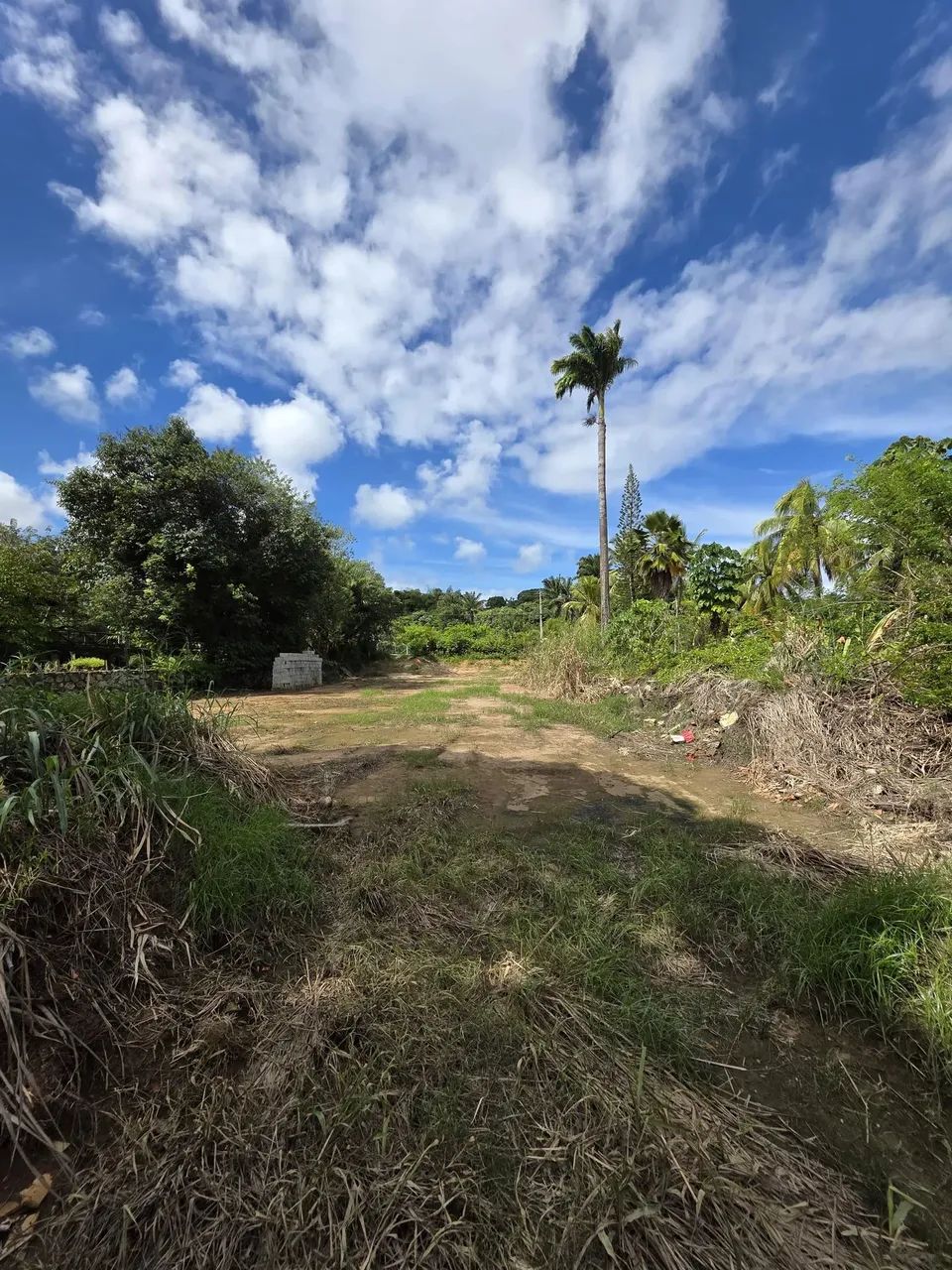 Terreno em Lauro De Freitas Bahia - Foto 11