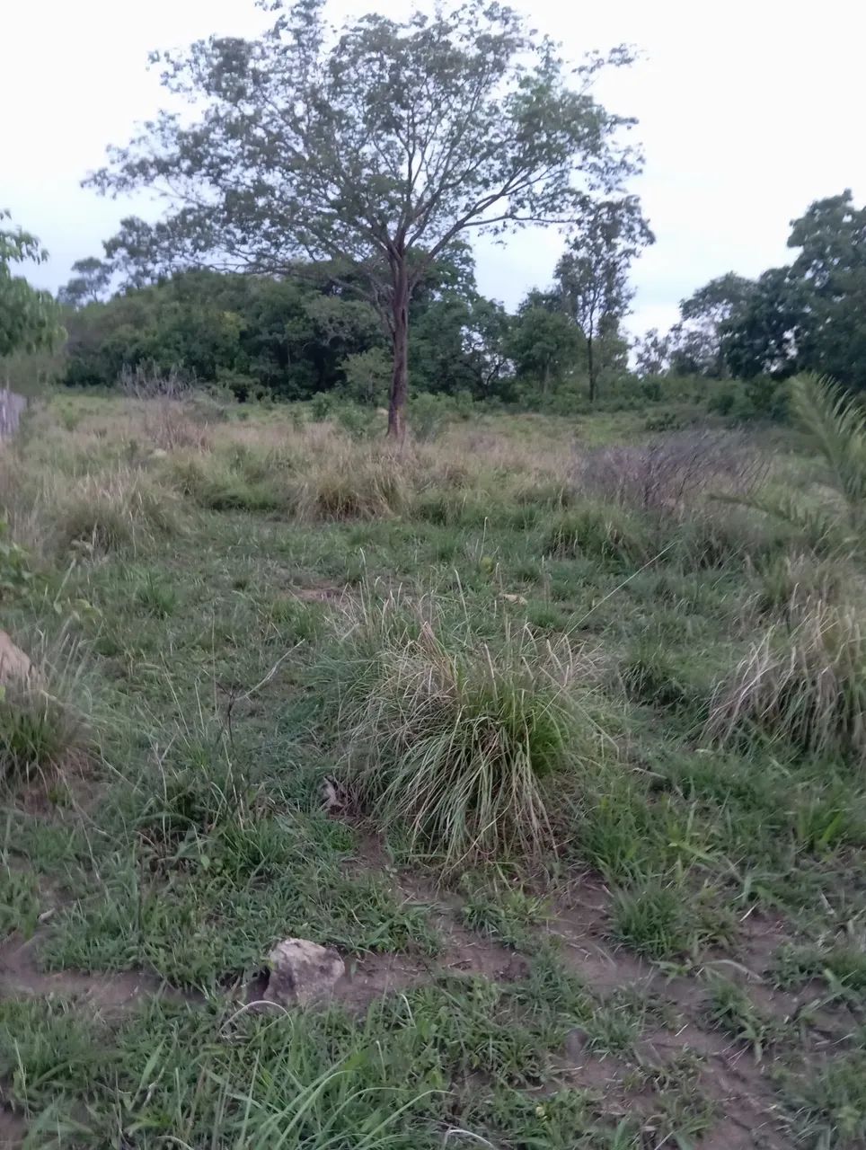 Chacara Rio Vermelho 