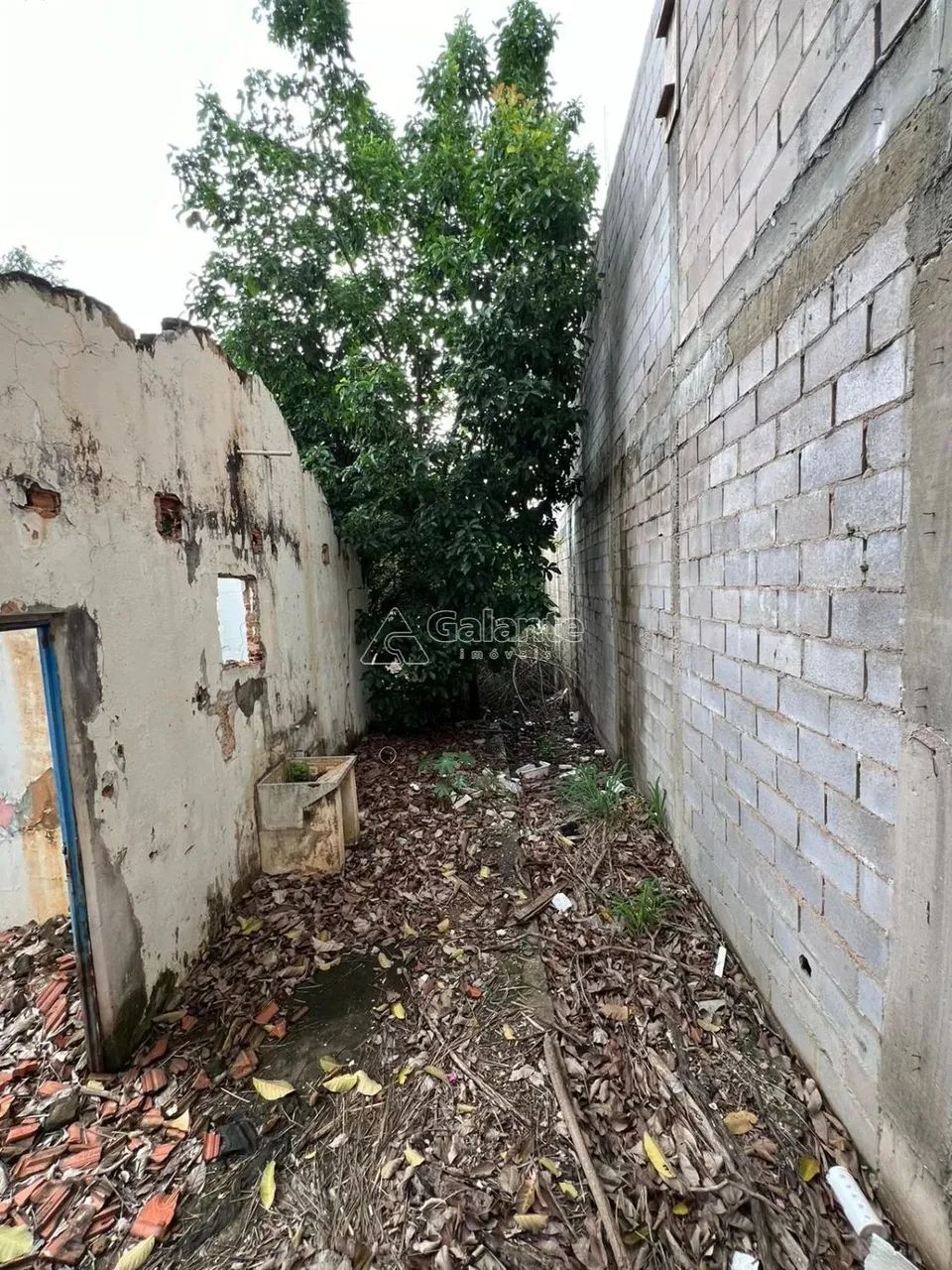 terreno - Chácara Boa Vista - Campinas - Foto 11