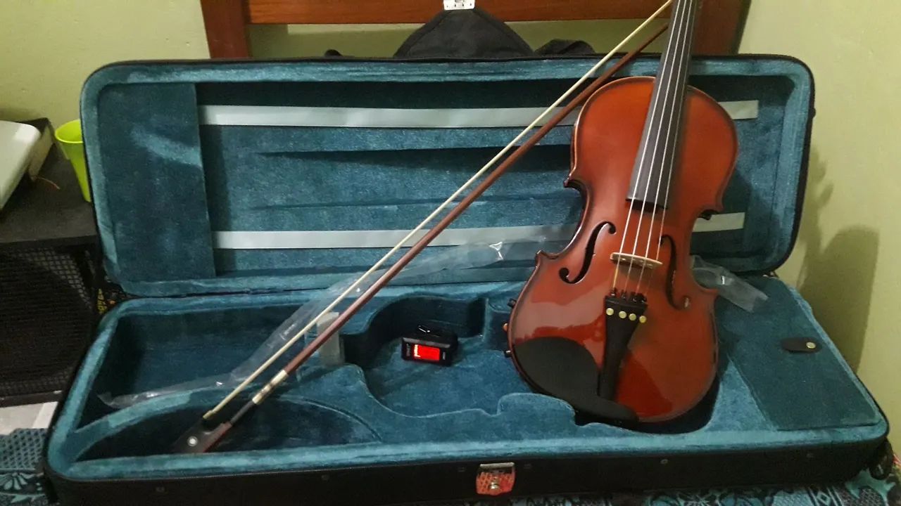 Violino Eagle VE 144 - seminovo 