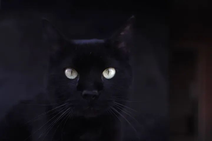 Lente Sigma 24-70mm F2.8 Art Para Canon - Foto 5