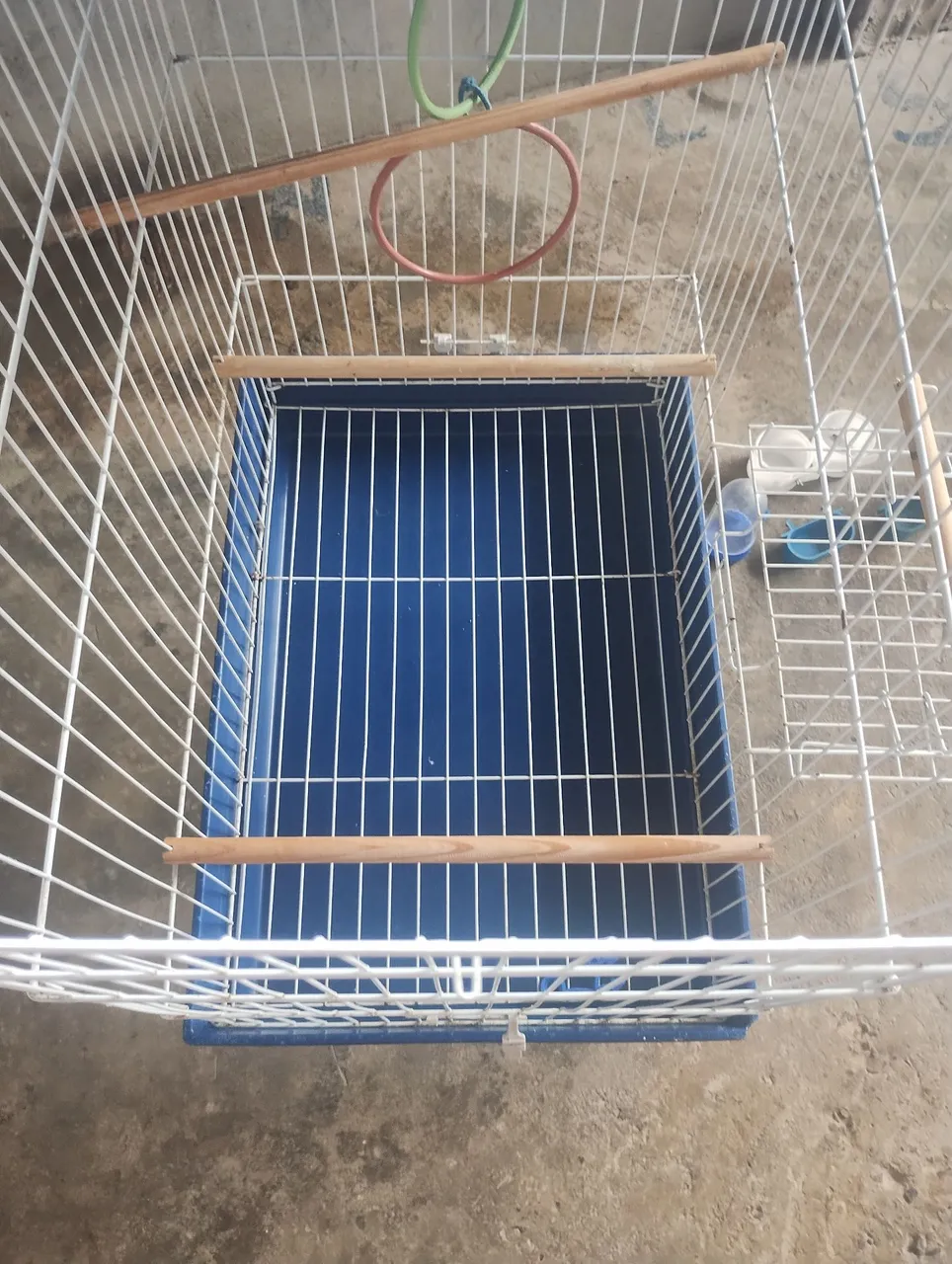 Gaiola para Pássaros - Conforto e Segurança