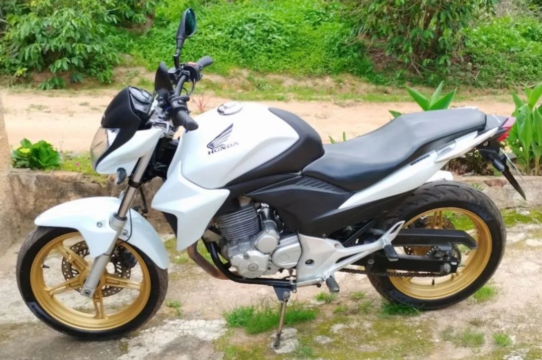 CB 300 R 2015 FLEXONE - Foto 2