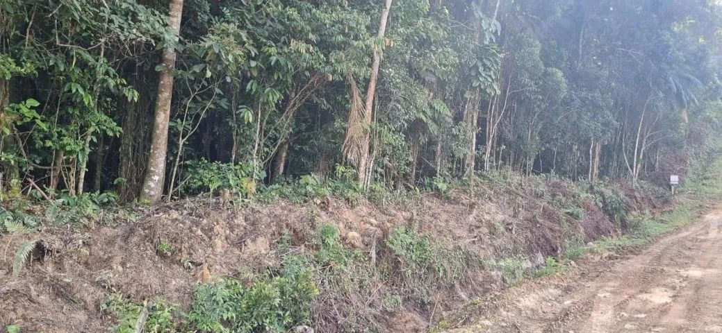 Vende-se amplo terreno no centro de Schroeder - Foto 5