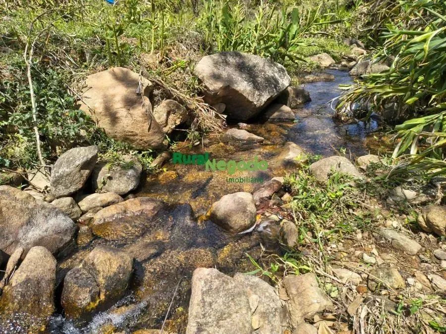 SÍTIO COM BELA TOPOGRAFIA E RIACHO NO PASSA VINTE EM CRUZEIRO-SP - Foto 3