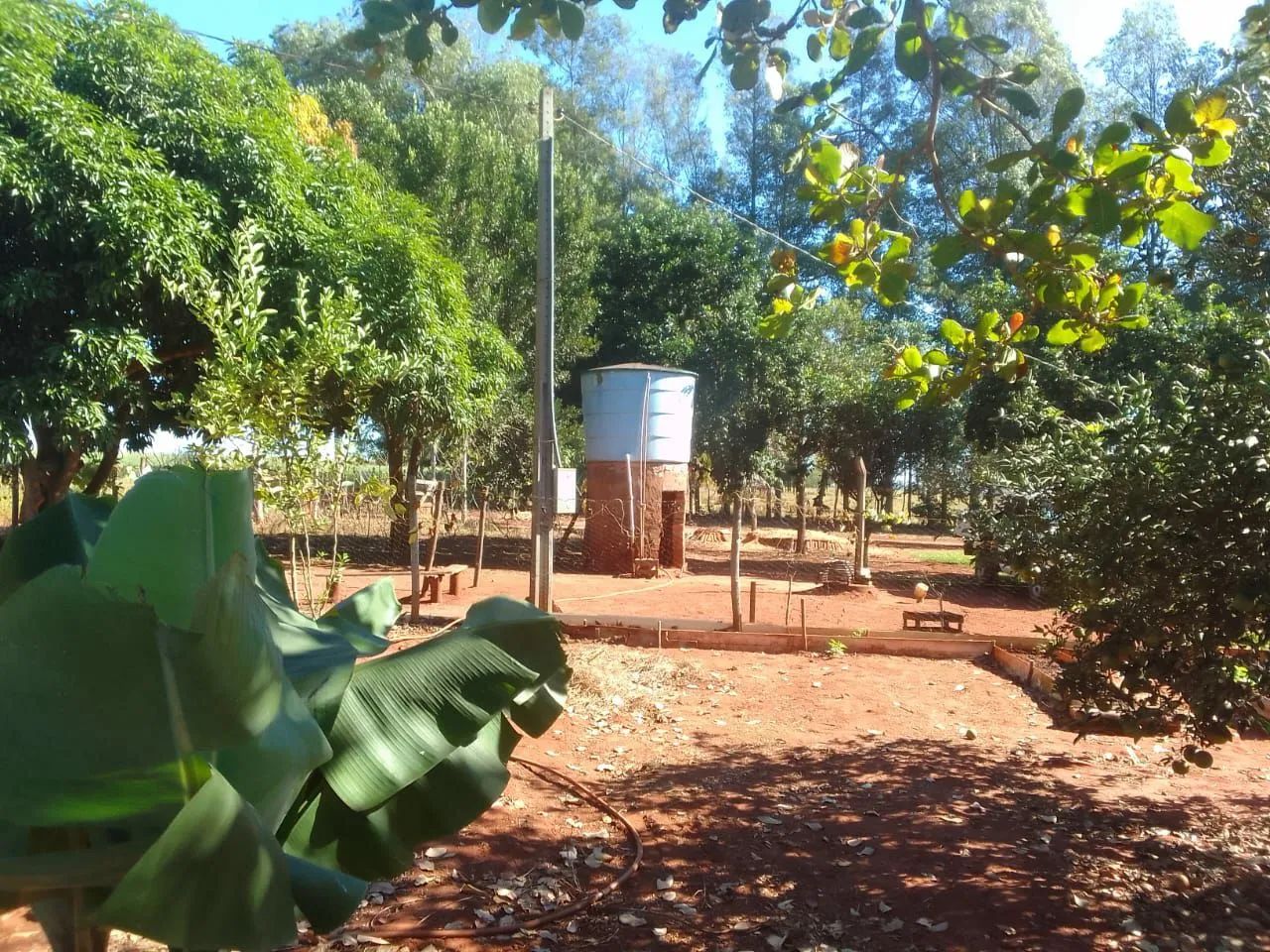 Chácara em Bandeirantes MS  - Foto 3