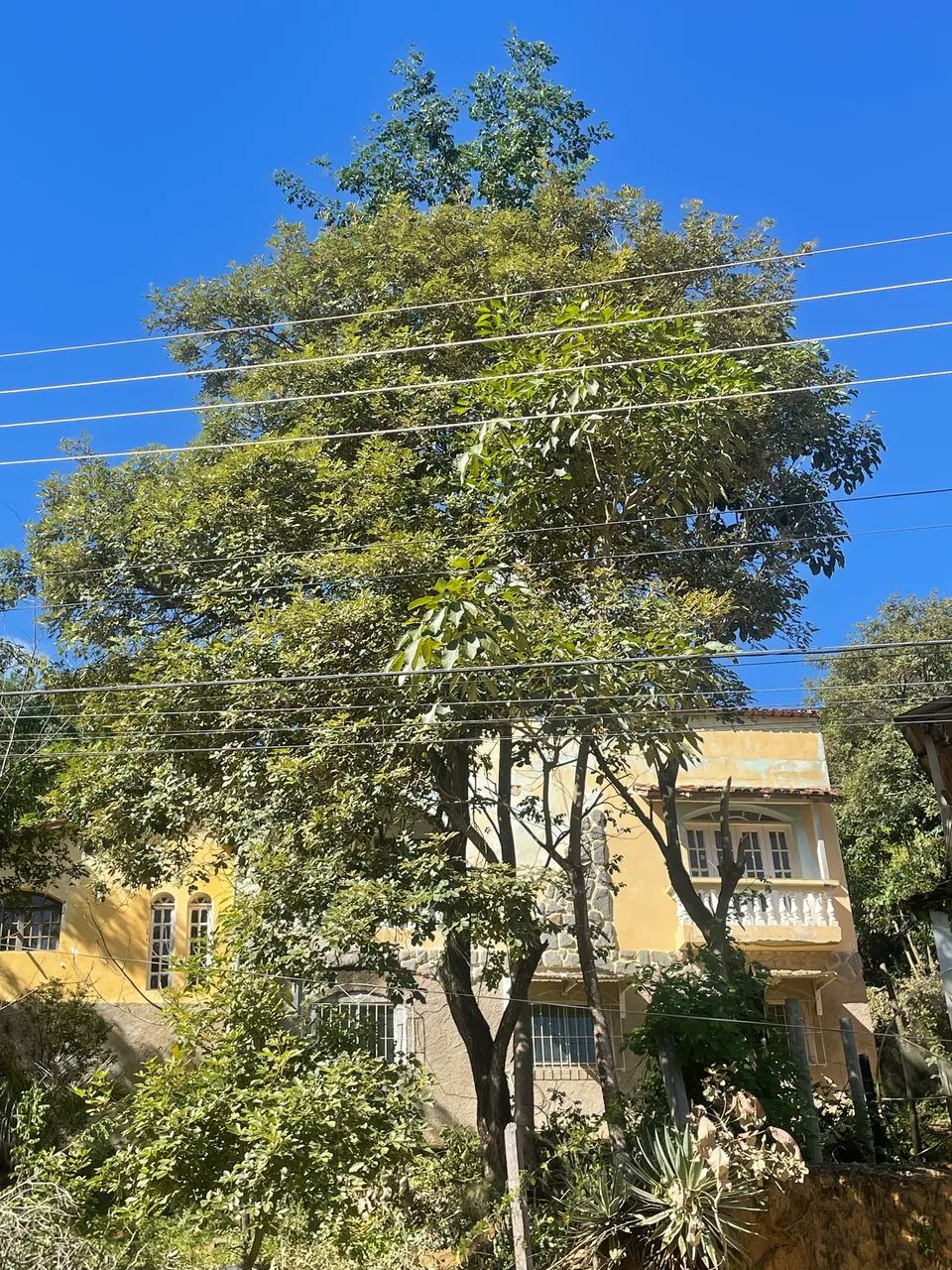 POUSADA A VENDA EM PANCAS ES - Foto 3