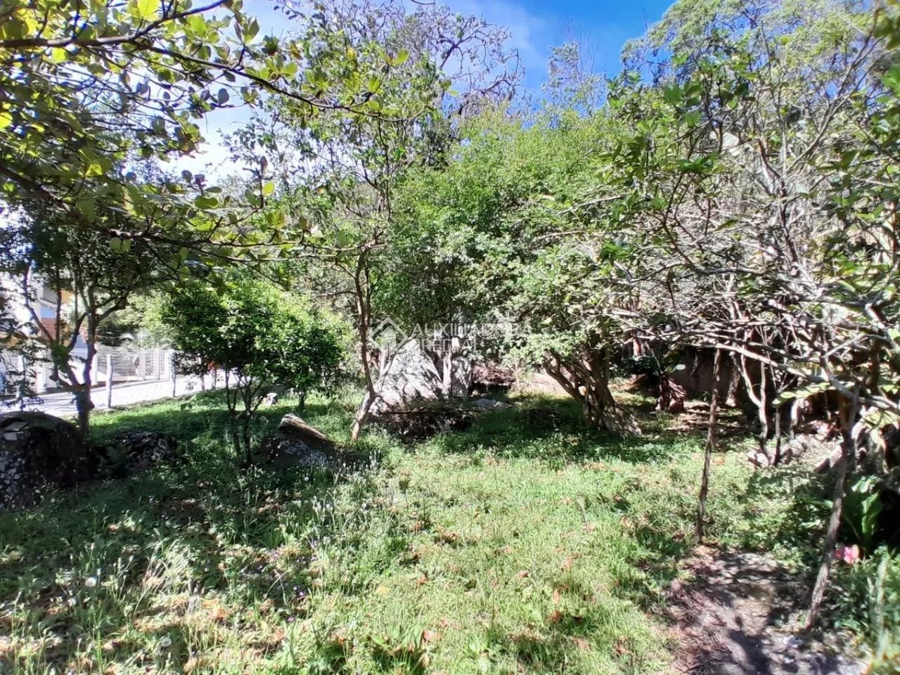 Casa em Condomínio 4 quarto(s), no bairro Ponta das Canas - Foto 4