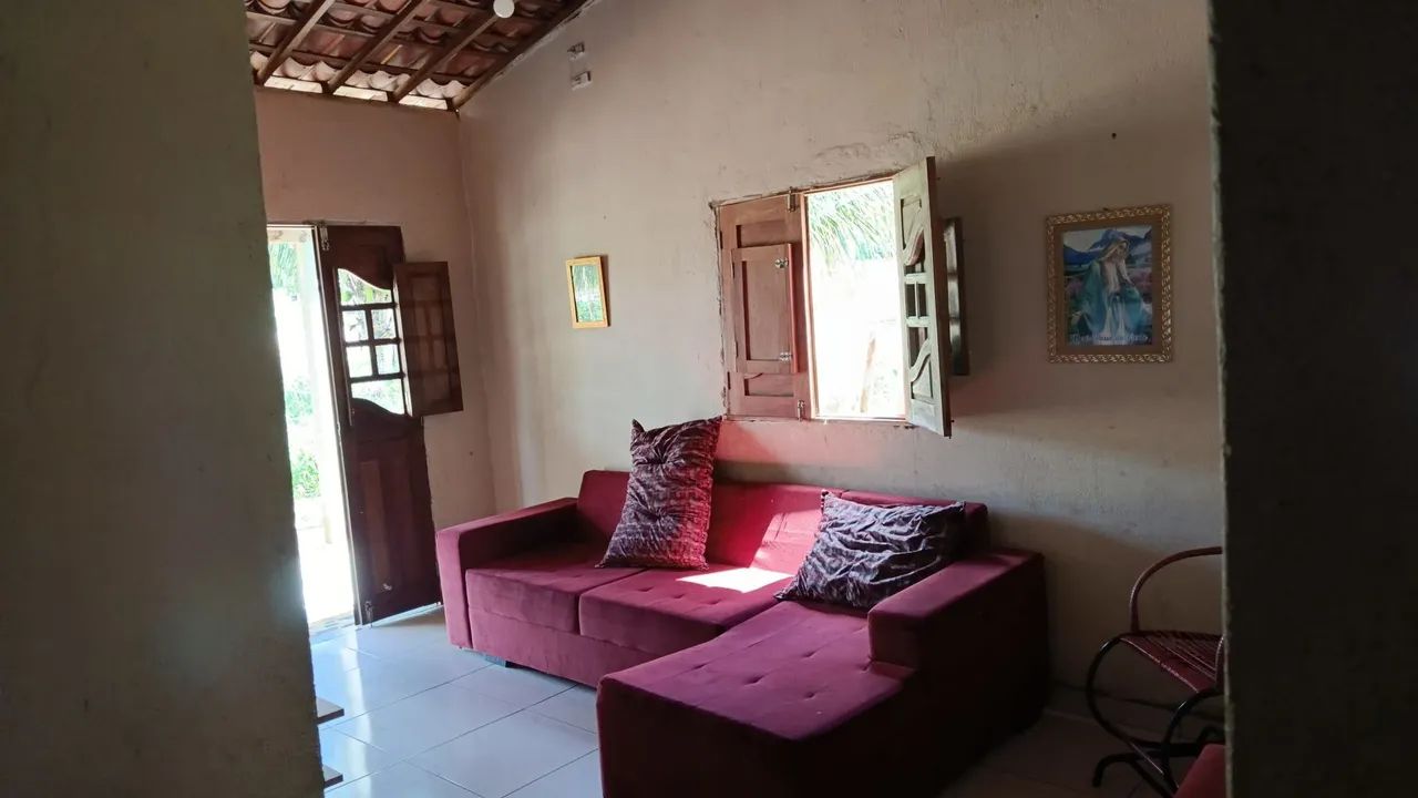 Vendo chácara na cidade de Belém Alagoas  - Foto 5