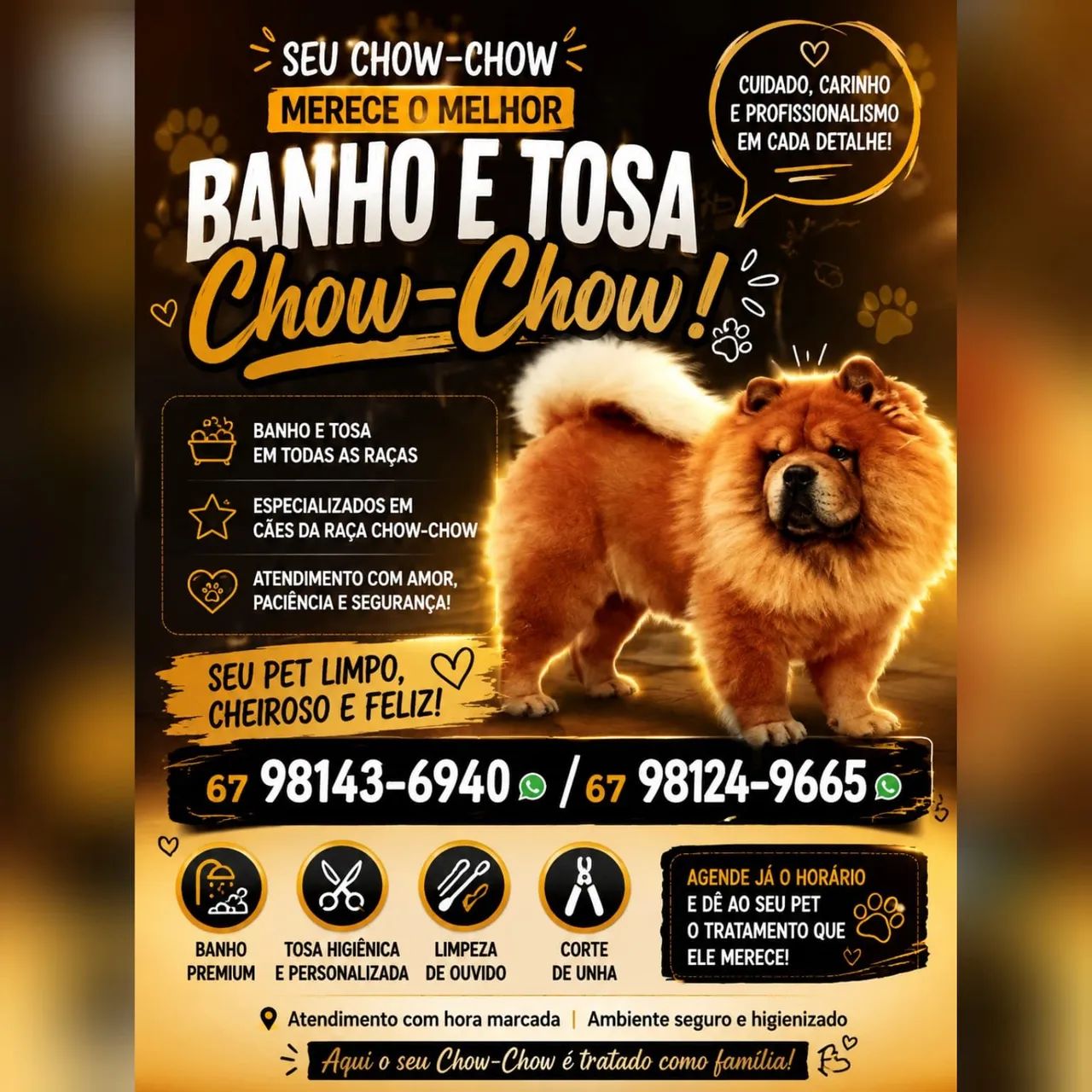 Banho e Tosa Chow Chow. 