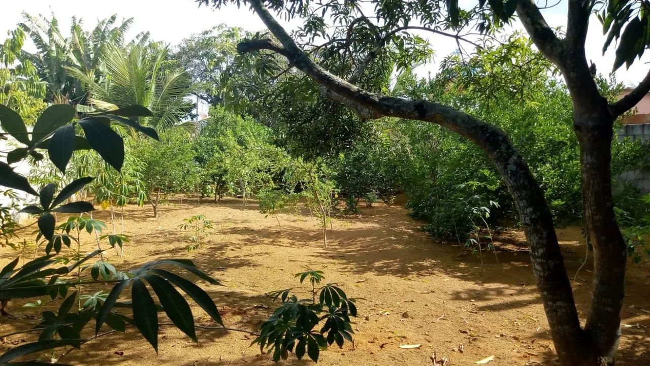 Foto - Serra - Cidade Nova da Serra