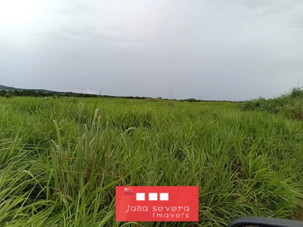 Fazenda para Venda em Santa Rita do Tocantins - Foto 2