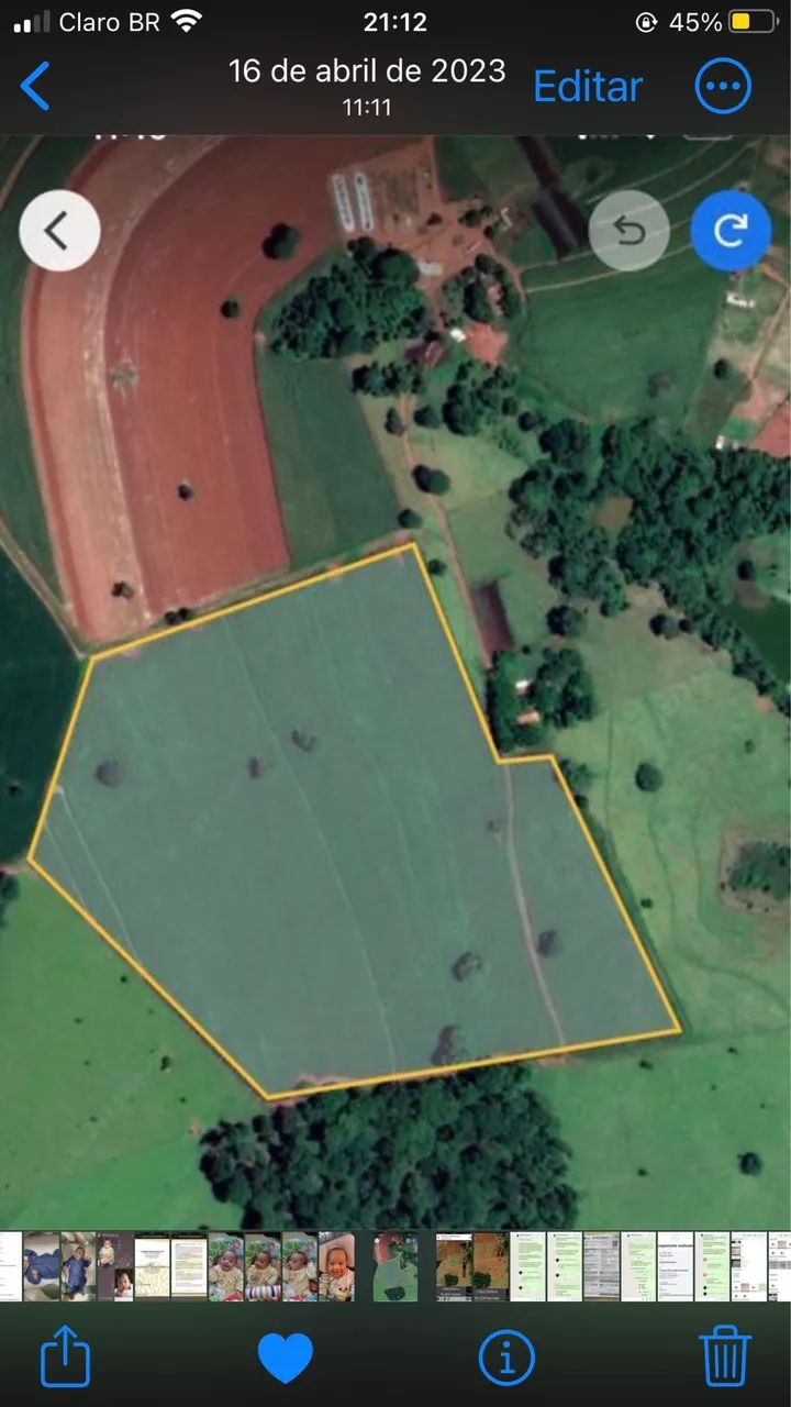 ARRENDAMENTO DE 16 HECTARES - NERÓPOLIS/GO - Foto 4