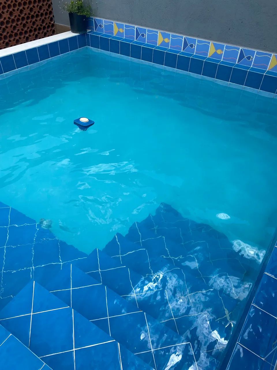 Limpeza de piscina - Foto 4