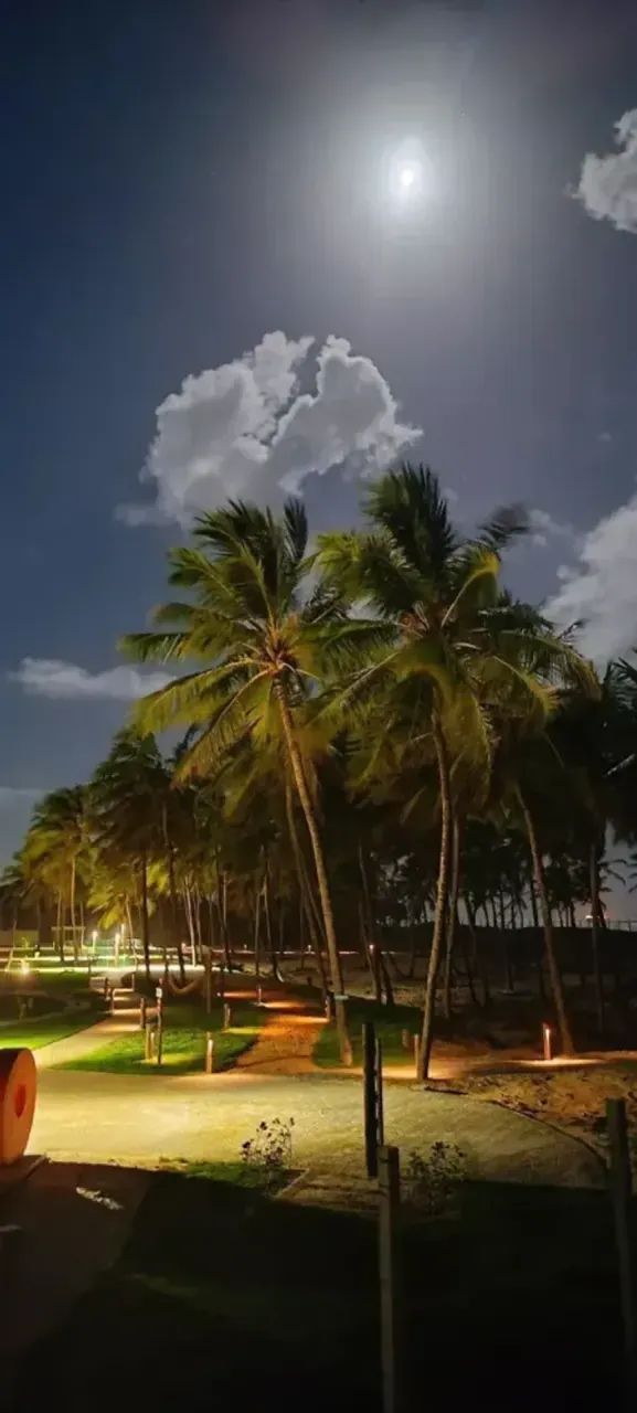 VILLAREDO BARRA  - próximo ao primeira lago - Rainha dos Lotes - Foto 4