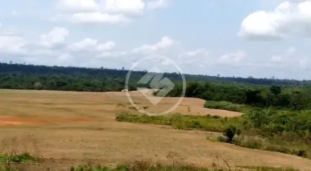 Fazenda de Alta Produtividade com Logística Impecável. codigo: 269102 - Foto 4