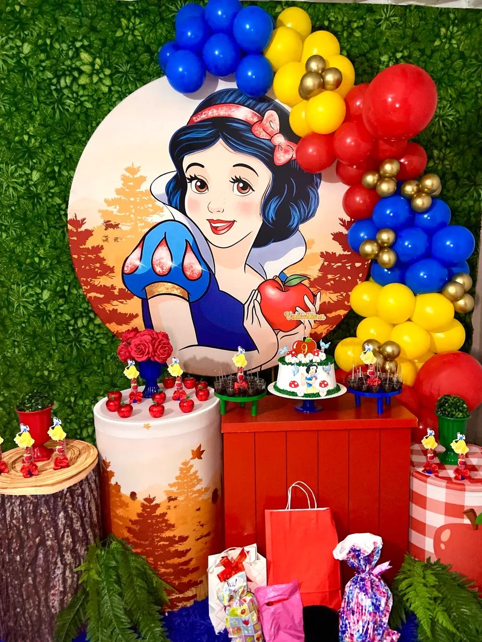 FESTA/ ANIVERSÁRIO COMPLETOS 
