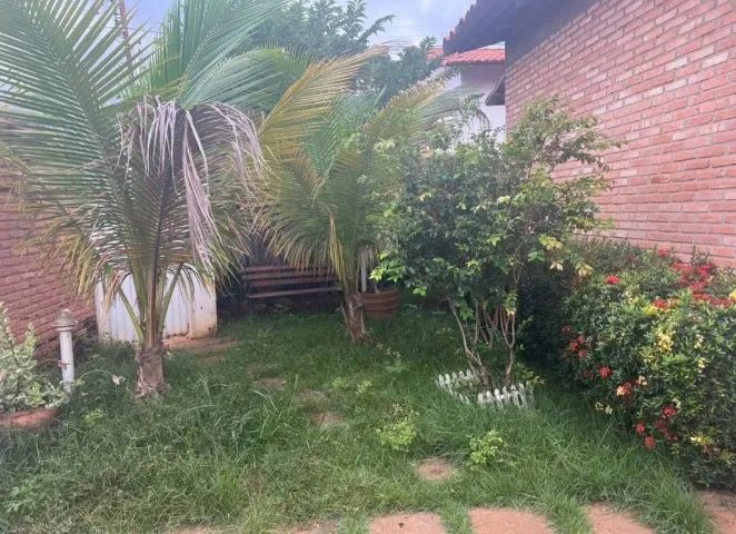     Corte de Grama e Limpeza de Jardim - Foto 5