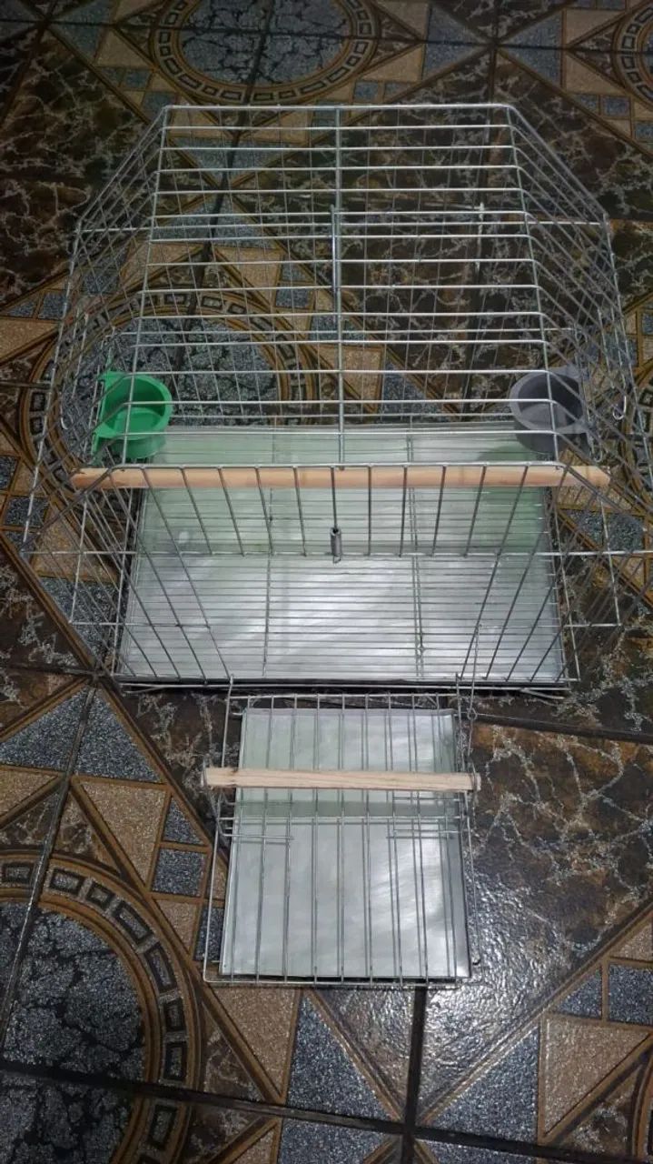 Gaiolas para calopsitas  - Foto 4