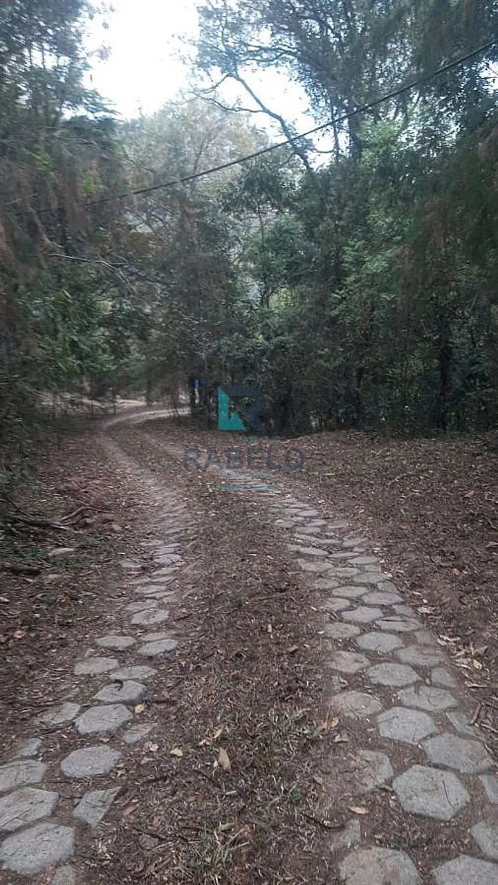 SÍTIO FORMADO COM RIO DE ÁGUAS CRISTALINA EM ITAMONTE-MG - Foto 5