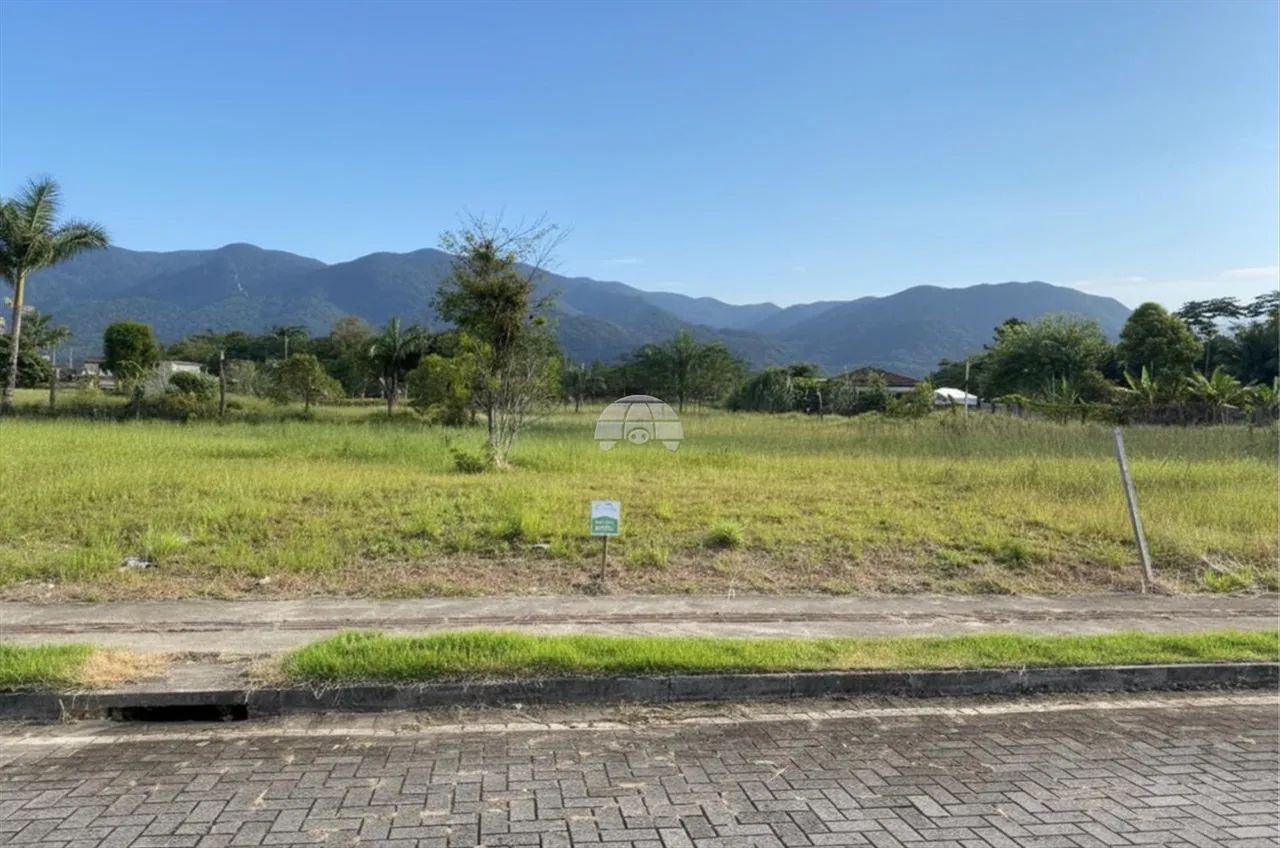 Vendas Terreno Garuva SC - Foto 2