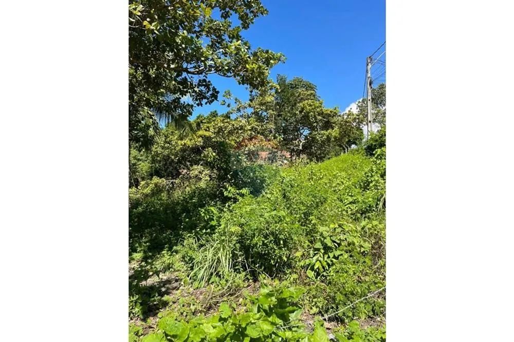 Terreno em guaxuma Maceió, AL-101 - Foto 14