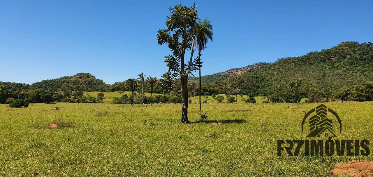 FAZENDA EM URUAÇU  GO