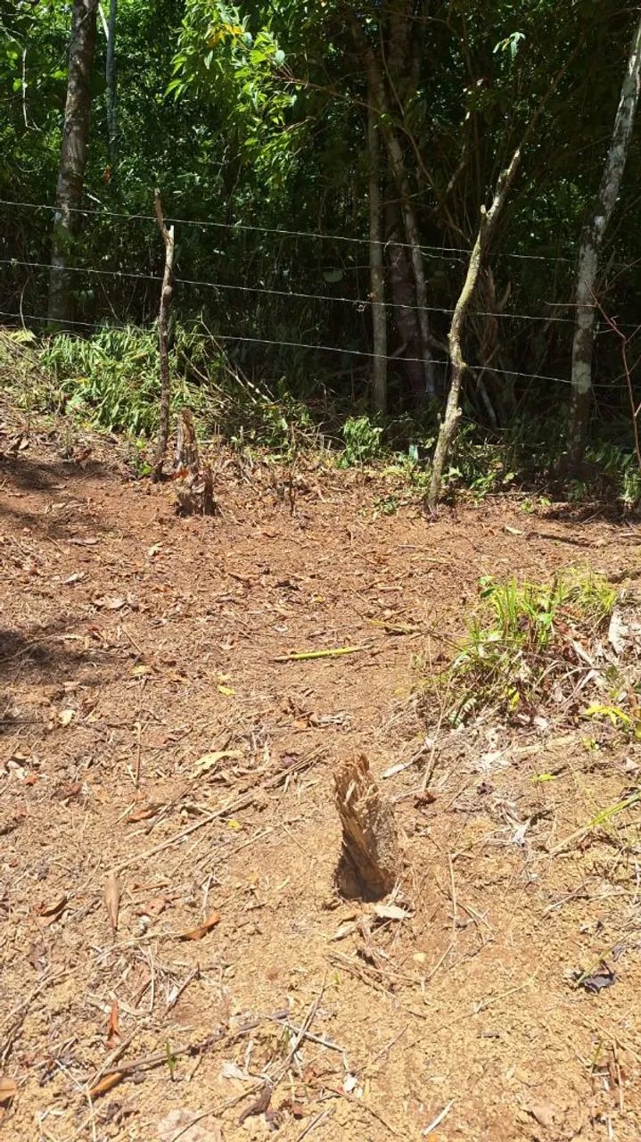 Vende-se um sítio  no cabo de Santo Agostinho. - Foto 3