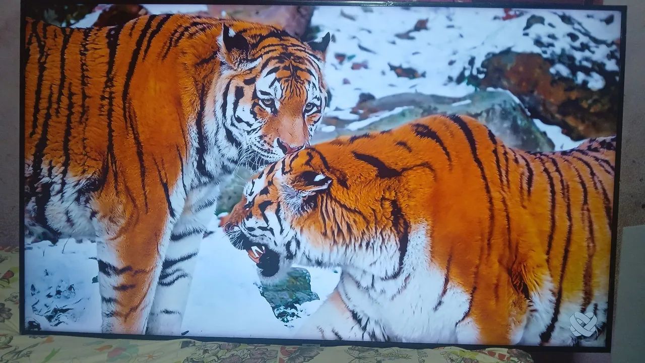 Vendo tv Samsung 65 polegadas smart 4k funcionando perfeitamente valor 1950 pra vim buscar - Foto 5