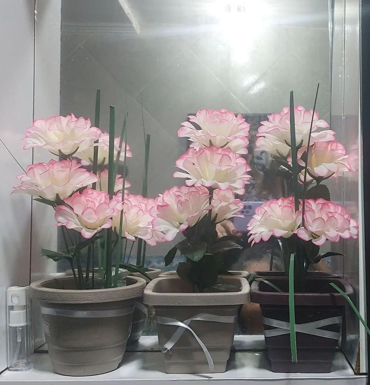 Flores 