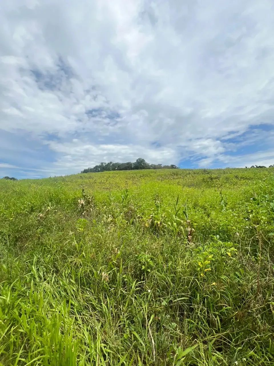 Pré-Lançamento de Terrenos em Ibiúna com Condições Especiais - Foto 12