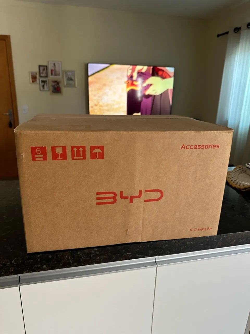 WallBox BYD