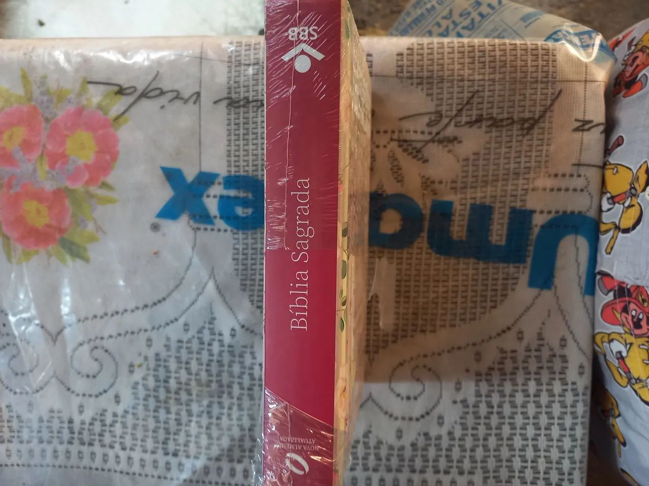Biblia sagrada - Foto 2