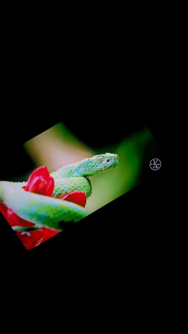 MONITOR PORTÁTIL 4K OLED - Uperfect  - Foto 4