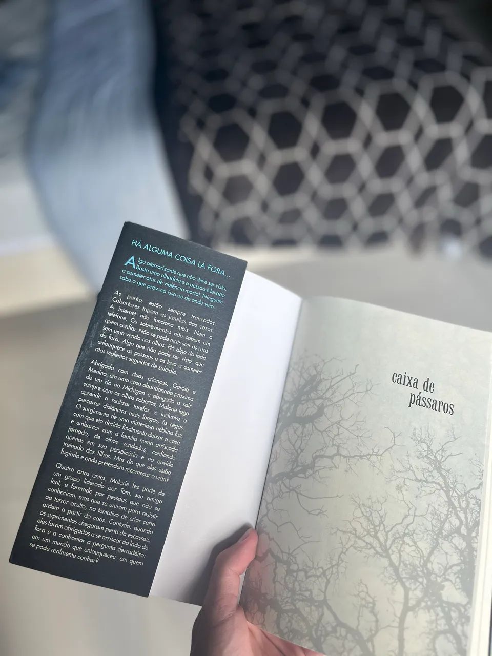 Livro Caixa de Pássaros (Bird Box) - Foto 2